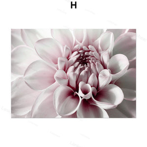 Peony Flower Wall Art – Modern Oil Canvas Painting (No Frame) - Dazzling Beauty Solution