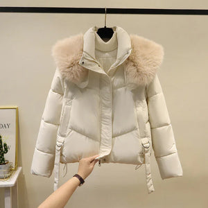 Women's Short Cotton-padded Jacket, Versatile And Fashionable, Stand-up Collar, Thick And Warm Loose Style - Dazzling Beauty Solution