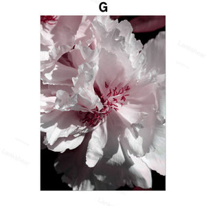 Peony Flower Wall Art – Modern Oil Canvas Painting (No Frame) - Dazzling Beauty Solution