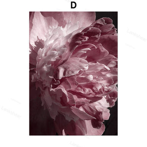 Peony Flower Wall Art – Modern Oil Canvas Painting (No Frame) - Dazzling Beauty Solution