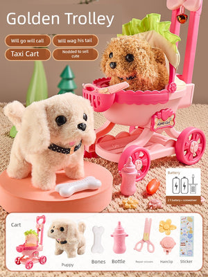 S16eaaa1ce2264eafadb70182100a803db