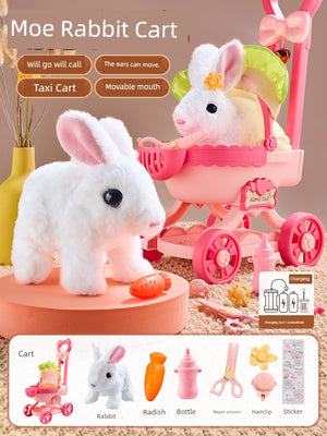 S2d26c3fde27f488b9278809f48cb9b4e7