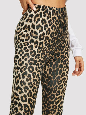 S66a1fc25429a4857a657f55bc86c6597v