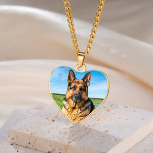 Scc1596ade20549359671955f72696880h