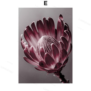 Peony Flower Wall Art – Modern Oil Canvas Painting (No Frame) - Dazzling Beauty Solution