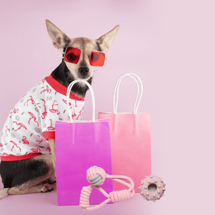 Pet Products