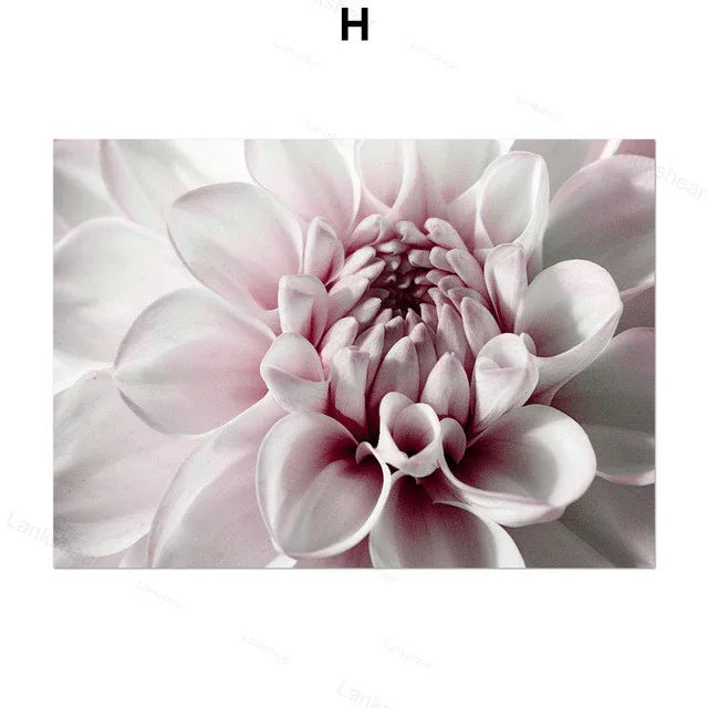 Peony Flower Wall Art – Modern Oil Canvas Painting (No Frame) - Dazzling Beauty Solution