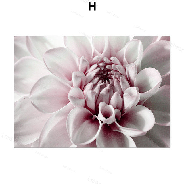 Peony Flower Wall Art – Modern Oil Canvas Painting (No Frame) - Dazzling Beauty Solution