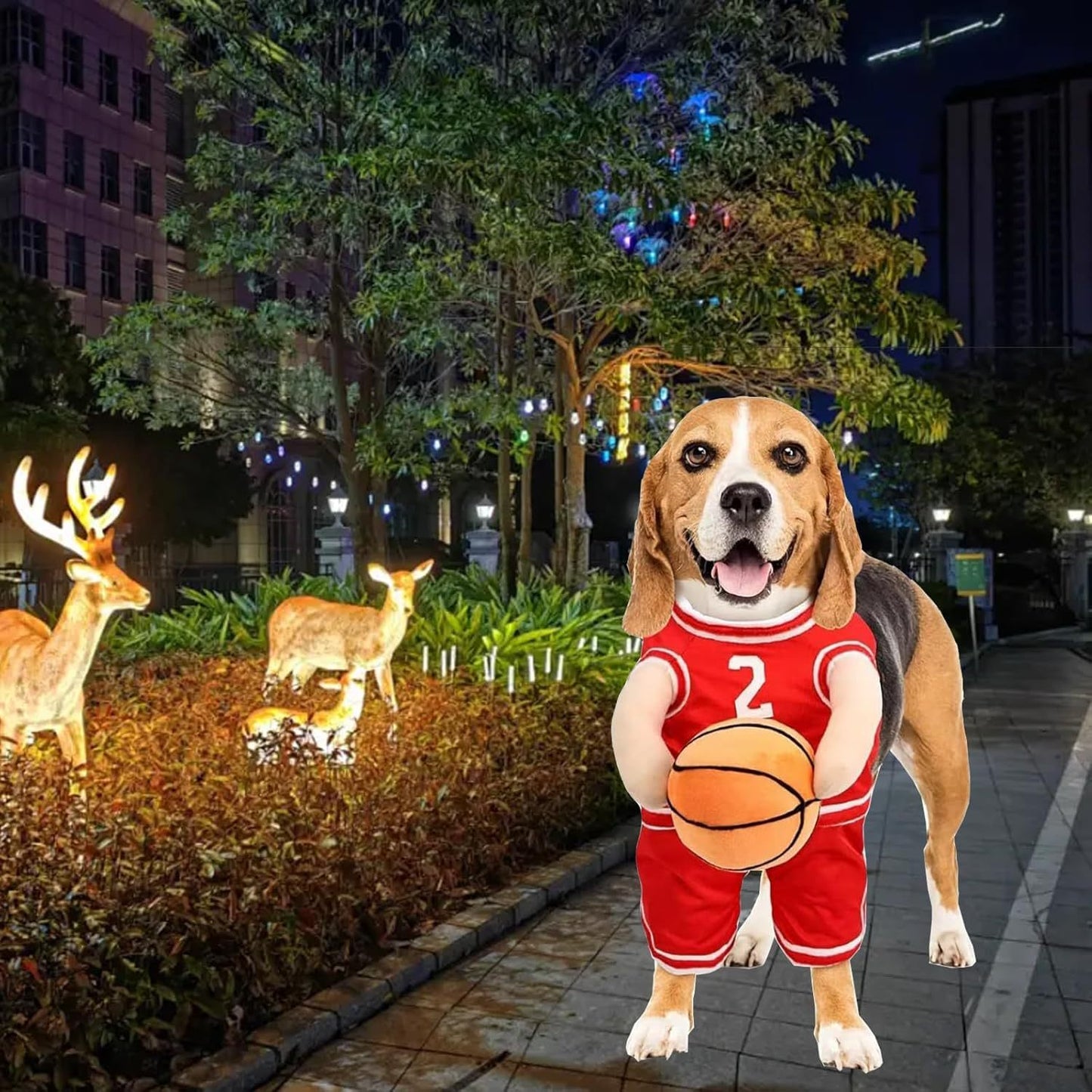 Dog Basketball Player Costume – Funny Halloween Sports Outfit for Small Dogs - Dazzling Beauty Solution