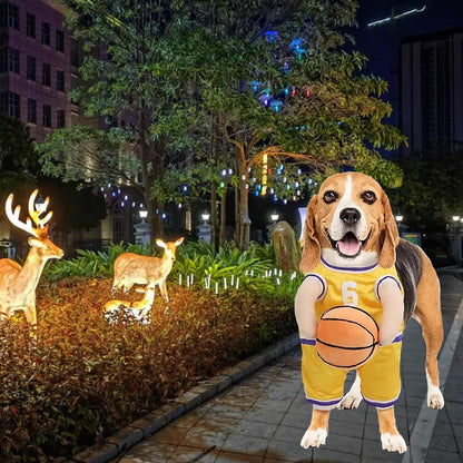 Dog Basketball Player Costume – Funny Halloween Sports Outfit for Small Dogs - Dazzling Beauty Solution