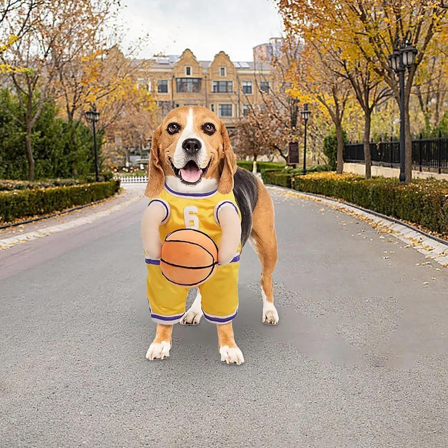 Dog Basketball Player Costume – Funny Halloween Sports Outfit for Small Dogs - Dazzling Beauty Solution