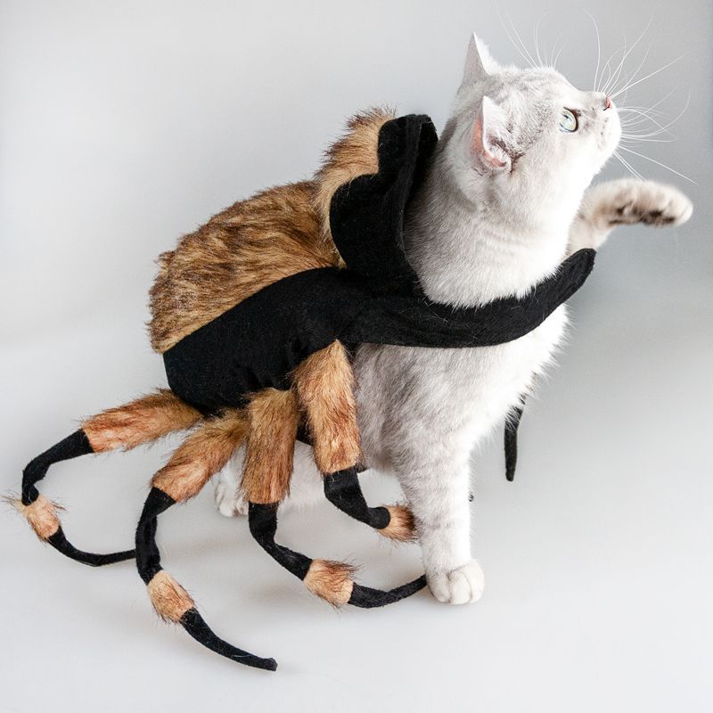 Pet Spider Costume – Funny Halloween Dress Up for Dogs & Cats - Dazzling Beauty Solution