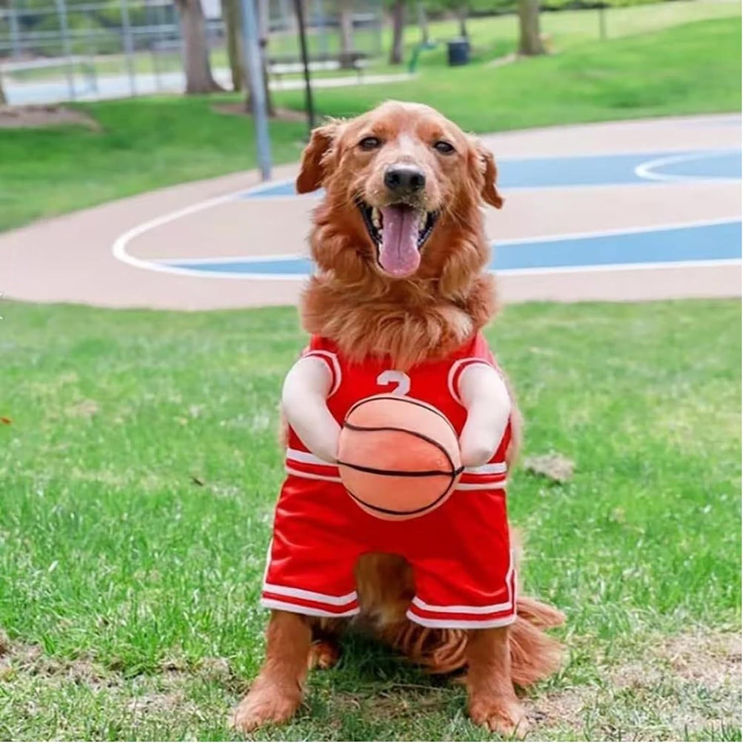Dog Basketball Player Costume – Funny Halloween Sports Outfit for Small Dogs - Dazzling Beauty Solution