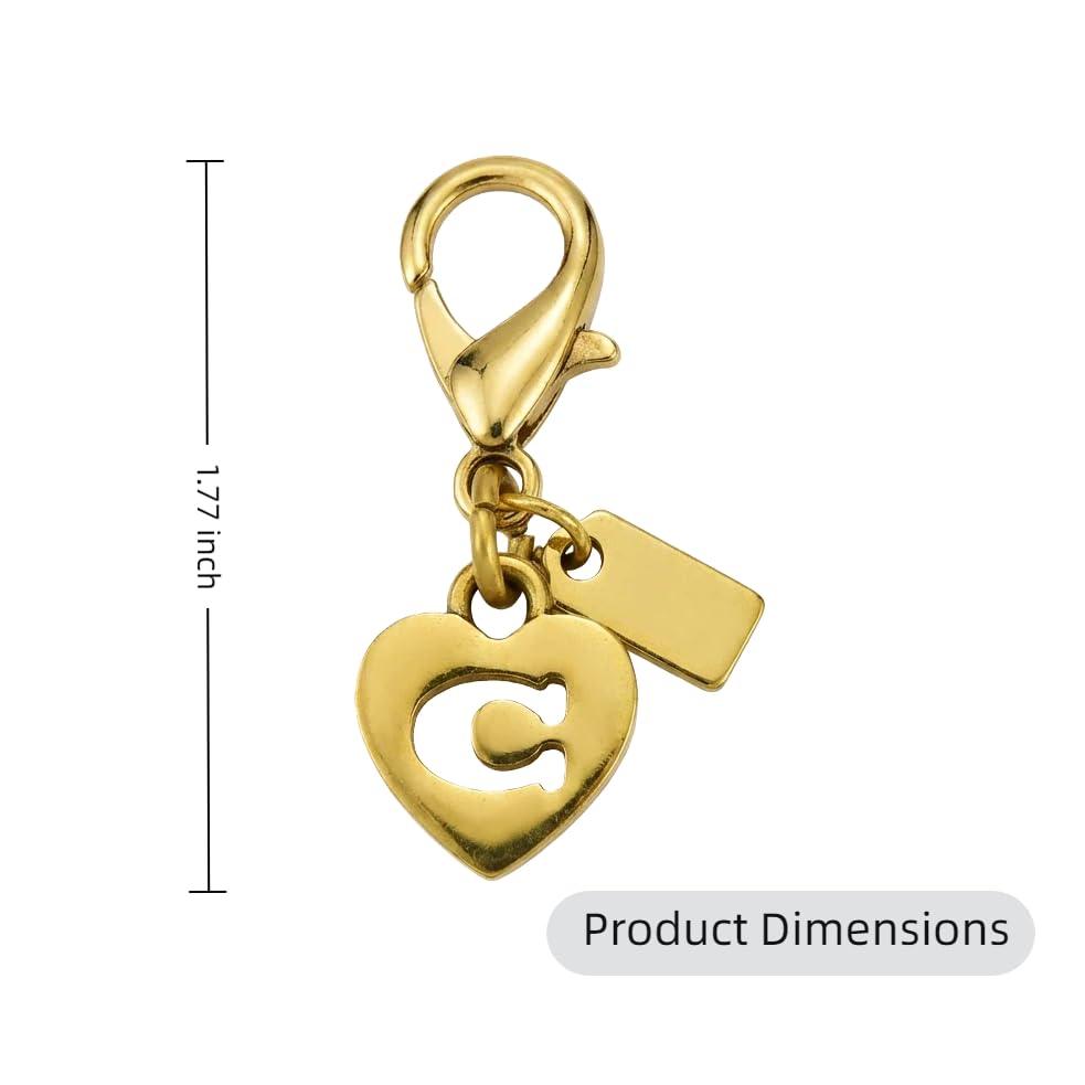 Gold Purse Chain Bag Charm for Women