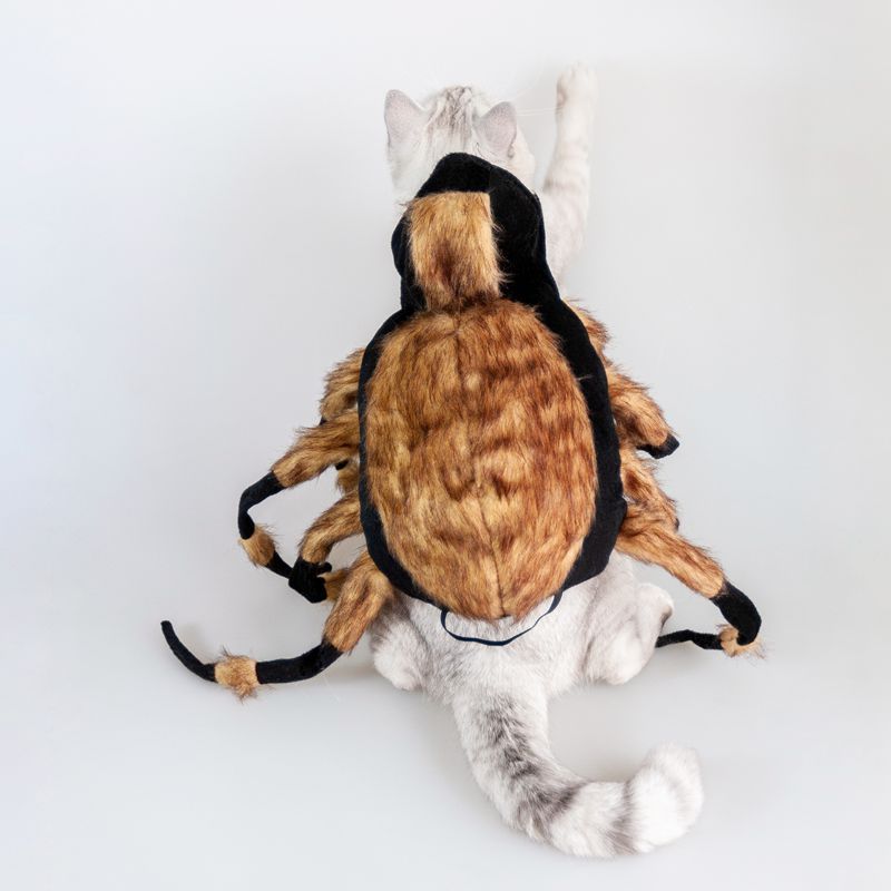 Pet Spider Costume – Funny Halloween Dress Up for Dogs & Cats - Dazzling Beauty Solution