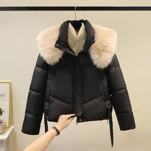 Women's Short Cotton-padded Jacket, Versatile And Fashionable, Stand-up Collar, Thick And Warm Loose Style - Dazzling Beauty Solution