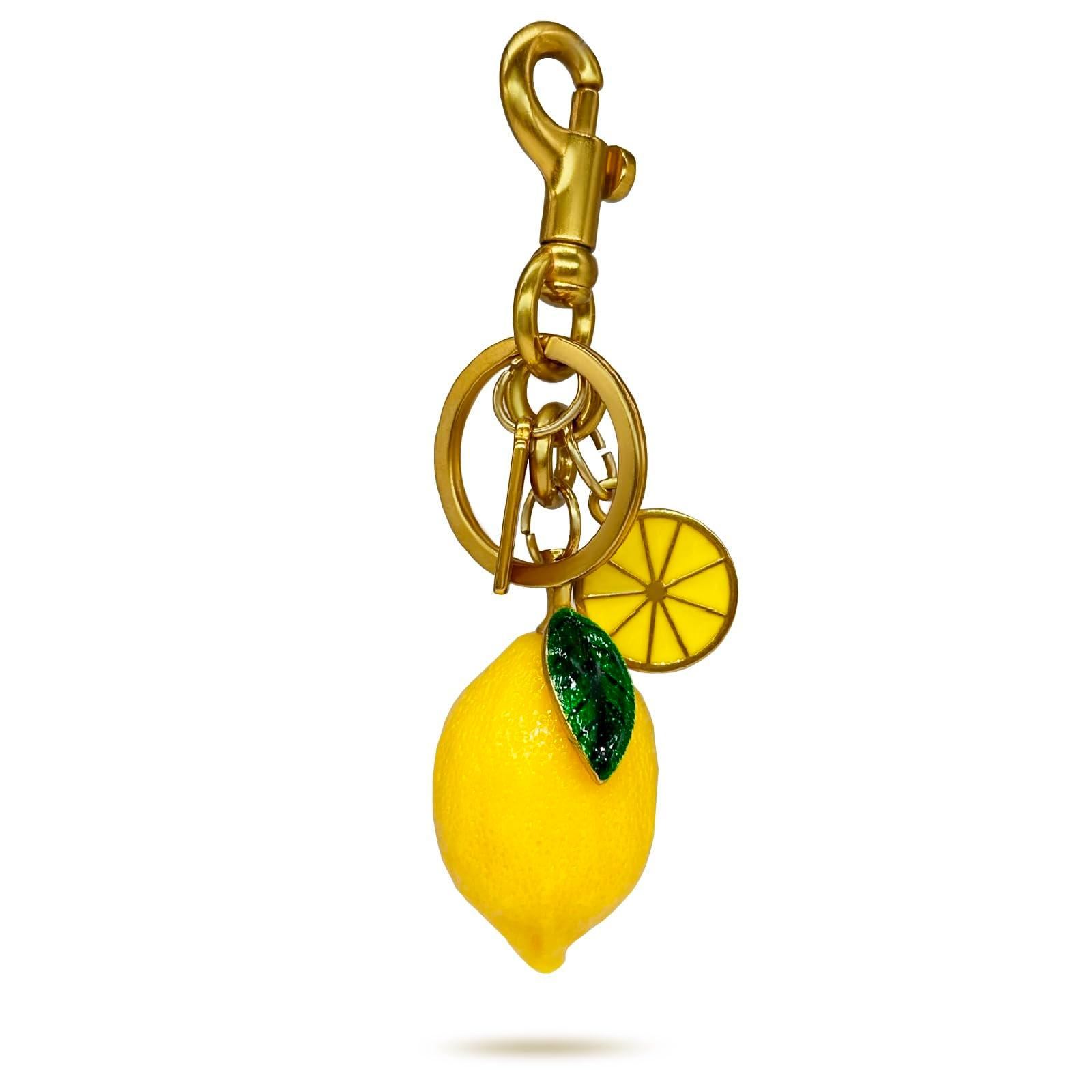 Gold Purse Chain Bag Charm for Women