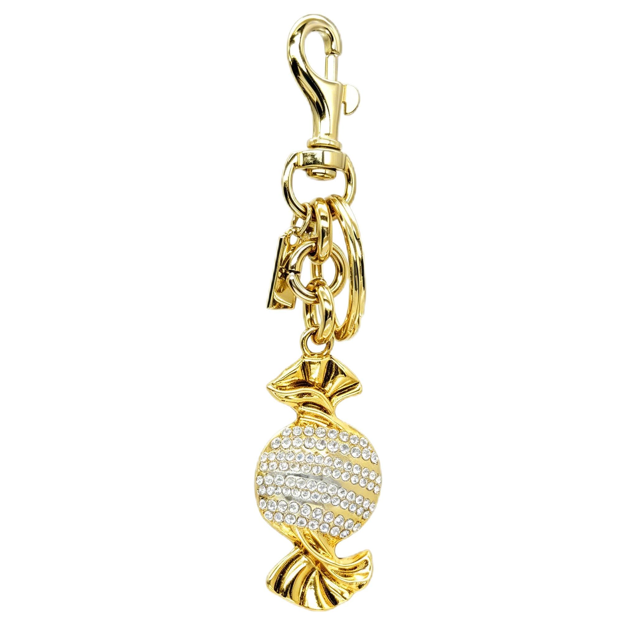 Gold Purse Chain Bag Charm for Women