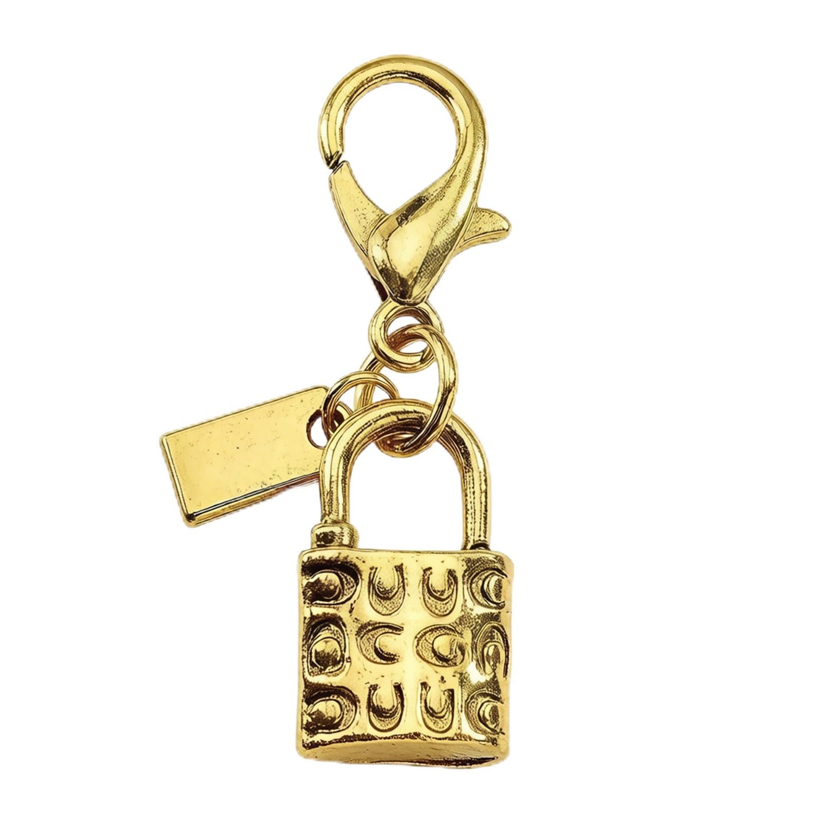Elegant Purse Chain & Bag Charm for Women