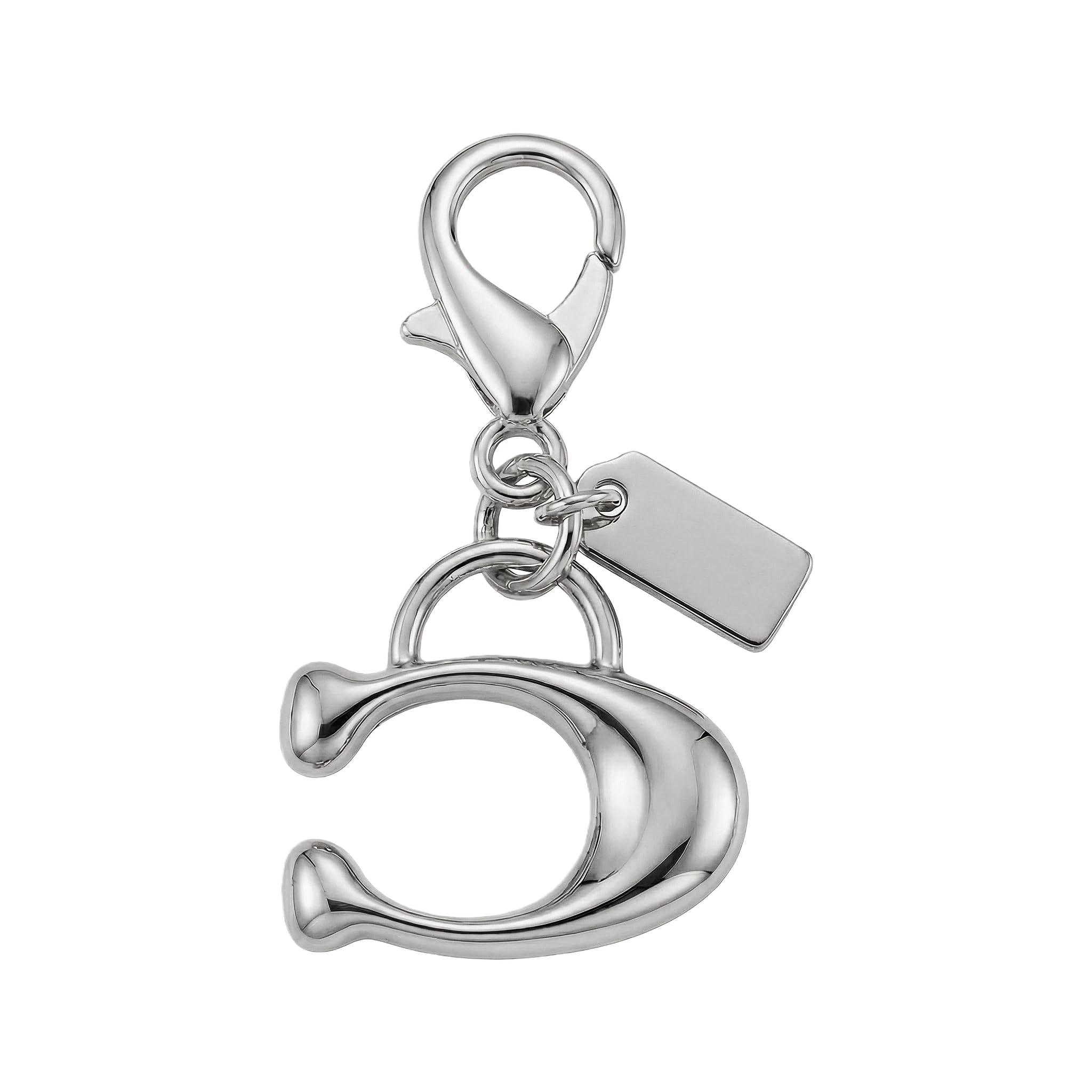 Gold Purse Chain Bag Charm for Women