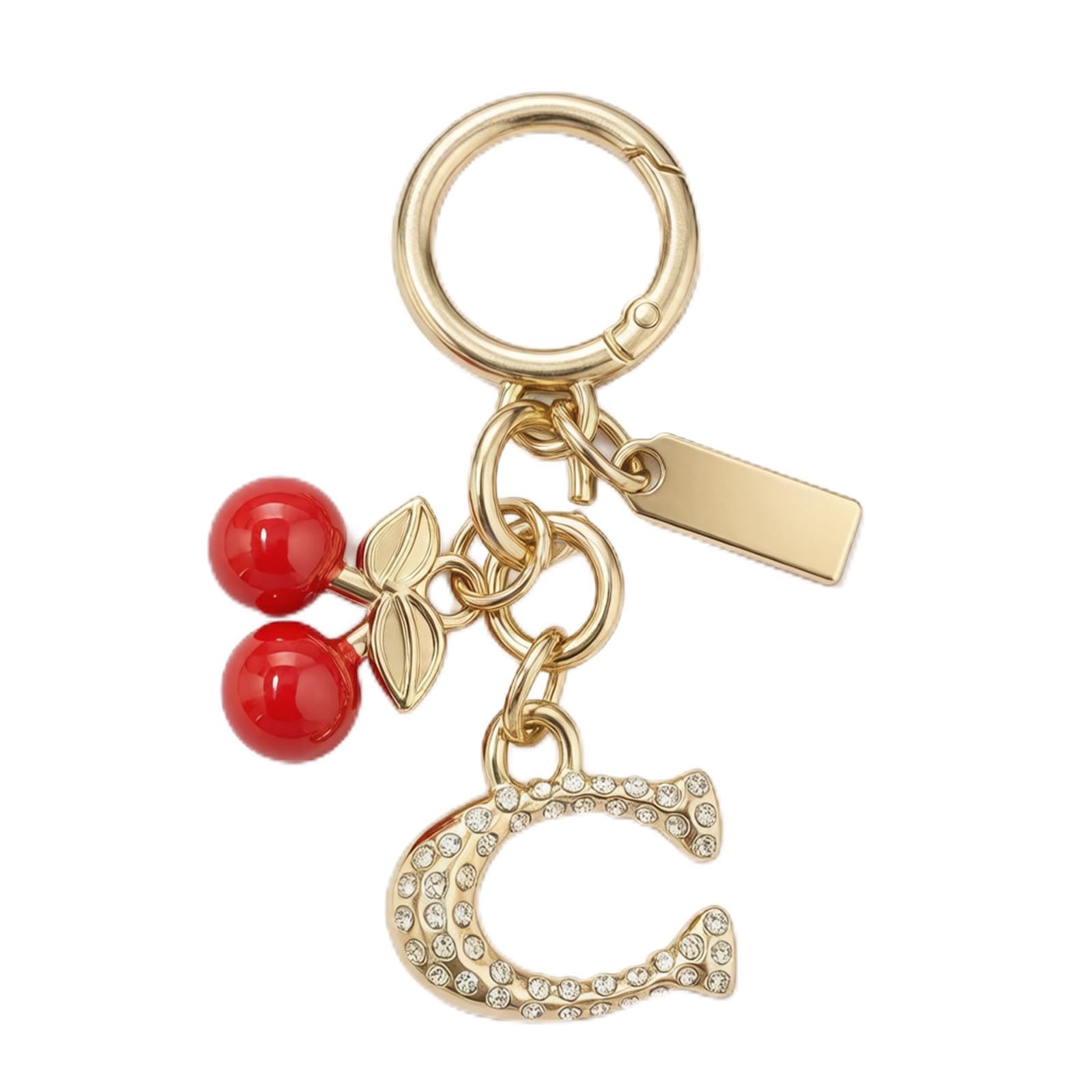Elegant Purse Chain & Bag Charm for Women