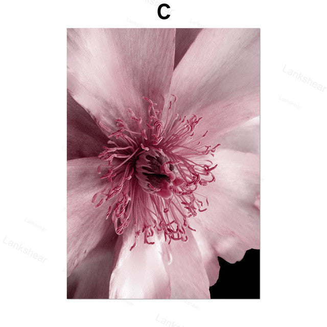 Peony Flower Wall Art – Modern Oil Canvas Painting (No Frame) - Dazzling Beauty Solution