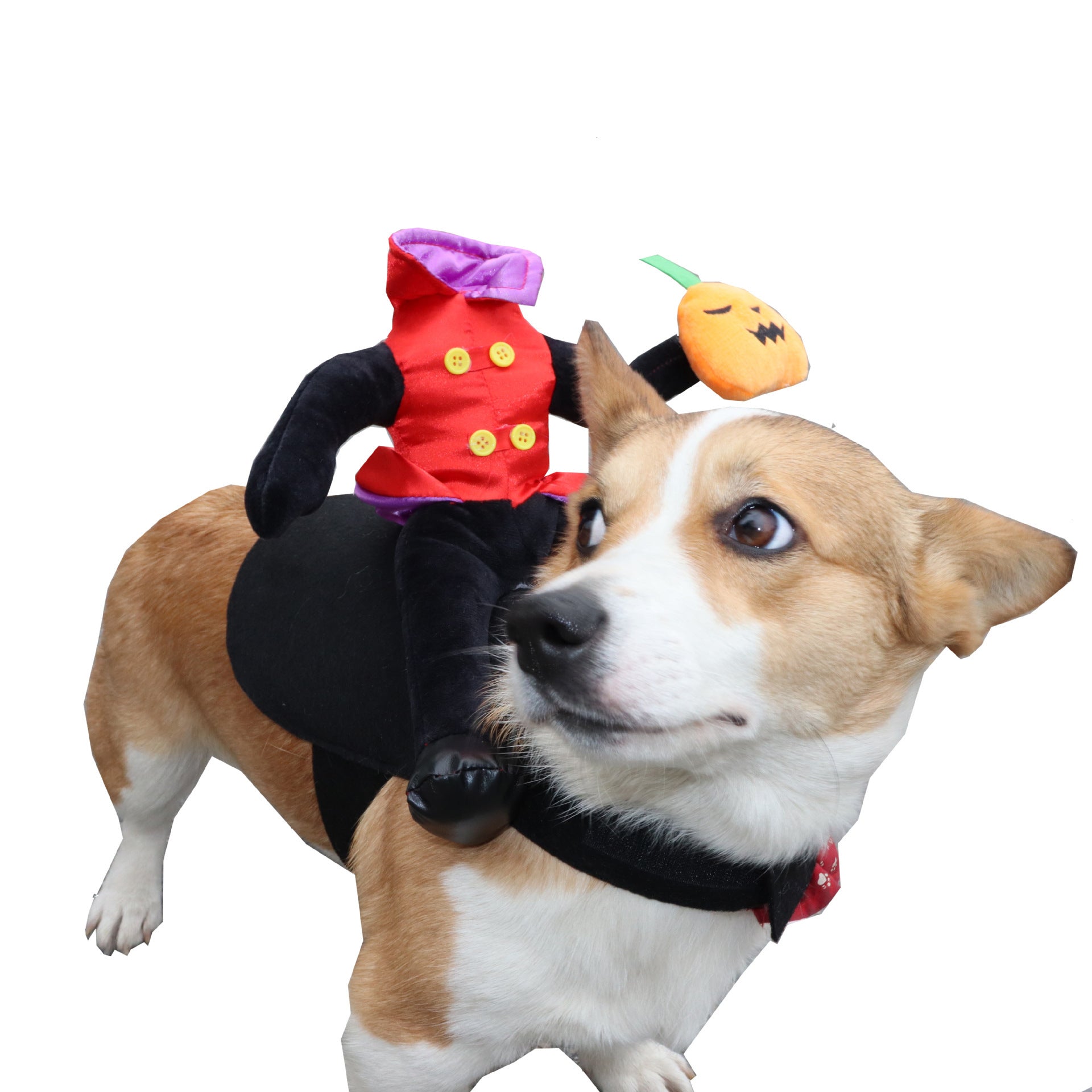 Halloween Dog Clothes Pet Costume Funny - Dazzling Beauty Solution
