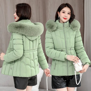 S698a8697bf8a4ca7adb40cdbb0d13fd3w