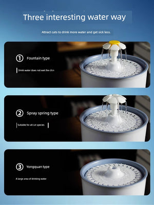 Scc5ea939400c4816a55e208050b8fcd2v