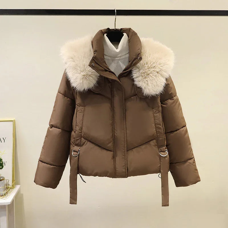 Women's Short Cotton-padded Jacket, Versatile And Fashionable, Stand-up Collar, Thick And Warm Loose Style - Dazzling Beauty Solution