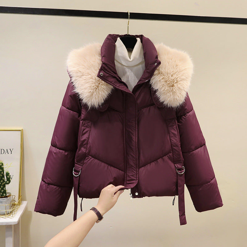 Women's Short Cotton-padded Jacket, Versatile And Fashionable, Stand-up Collar, Thick And Warm Loose Style - Dazzling Beauty Solution