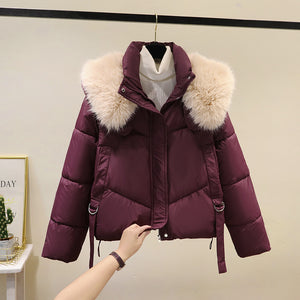 Women's Short Cotton-padded Jacket, Versatile And Fashionable, Stand-up Collar, Thick And Warm Loose Style - Dazzling Beauty Solution