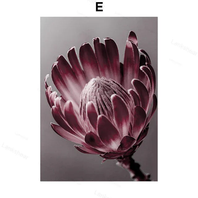 Peony Flower Wall Art – Modern Oil Canvas Painting (No Frame) - Dazzling Beauty Solution
