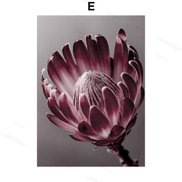 Peony Flower Wall Art – Modern Oil Canvas Painting (No Frame) - Dazzling Beauty Solution