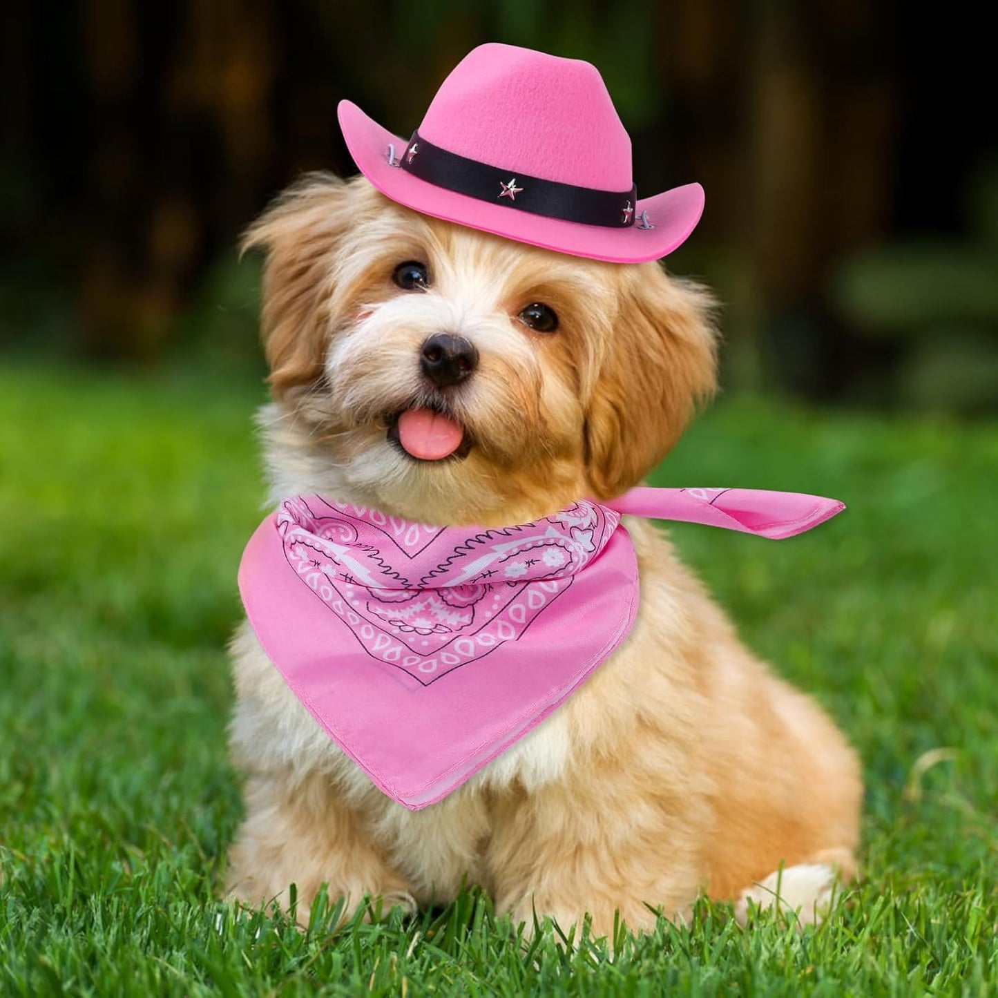 Cat Cowboy Costume Cat Cowboy Hat And Bandana Set Cat Halloween Costumes Cowboy Cat Pet Costume Funny Halloween Costumes For Cats Kittens Pets - Dazzling Beauty Solution