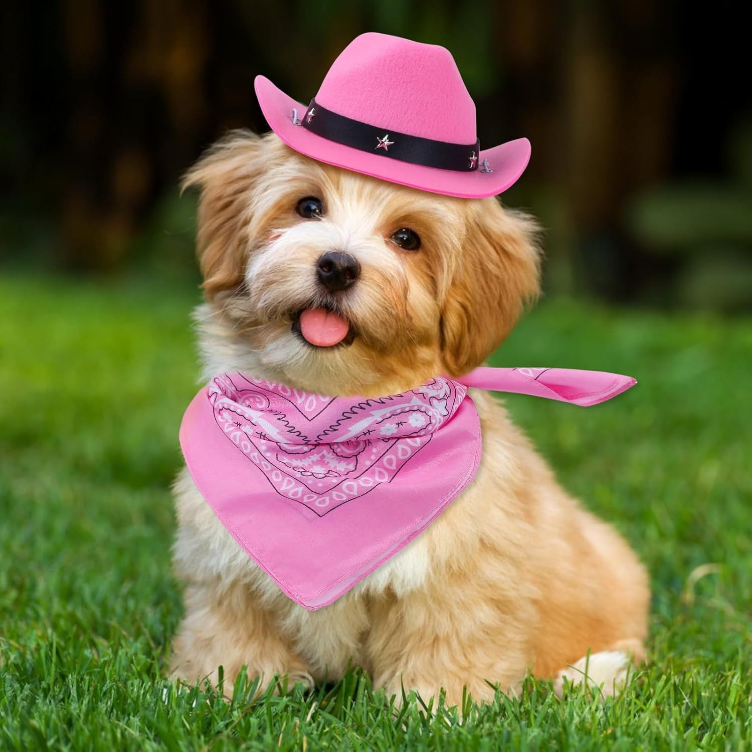 Cat Cowboy Costume Cat Cowboy Hat And Bandana Set Cat Halloween Costumes Cowboy Cat Pet Costume Funny Halloween Costumes For Cats Kittens Pets - Dazzling Beauty Solution